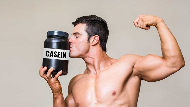 Casein Protein Benefits