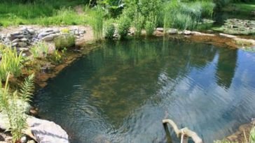 The Numerous Pond Problems and Why You Need to Employ Pond Treatment Companies